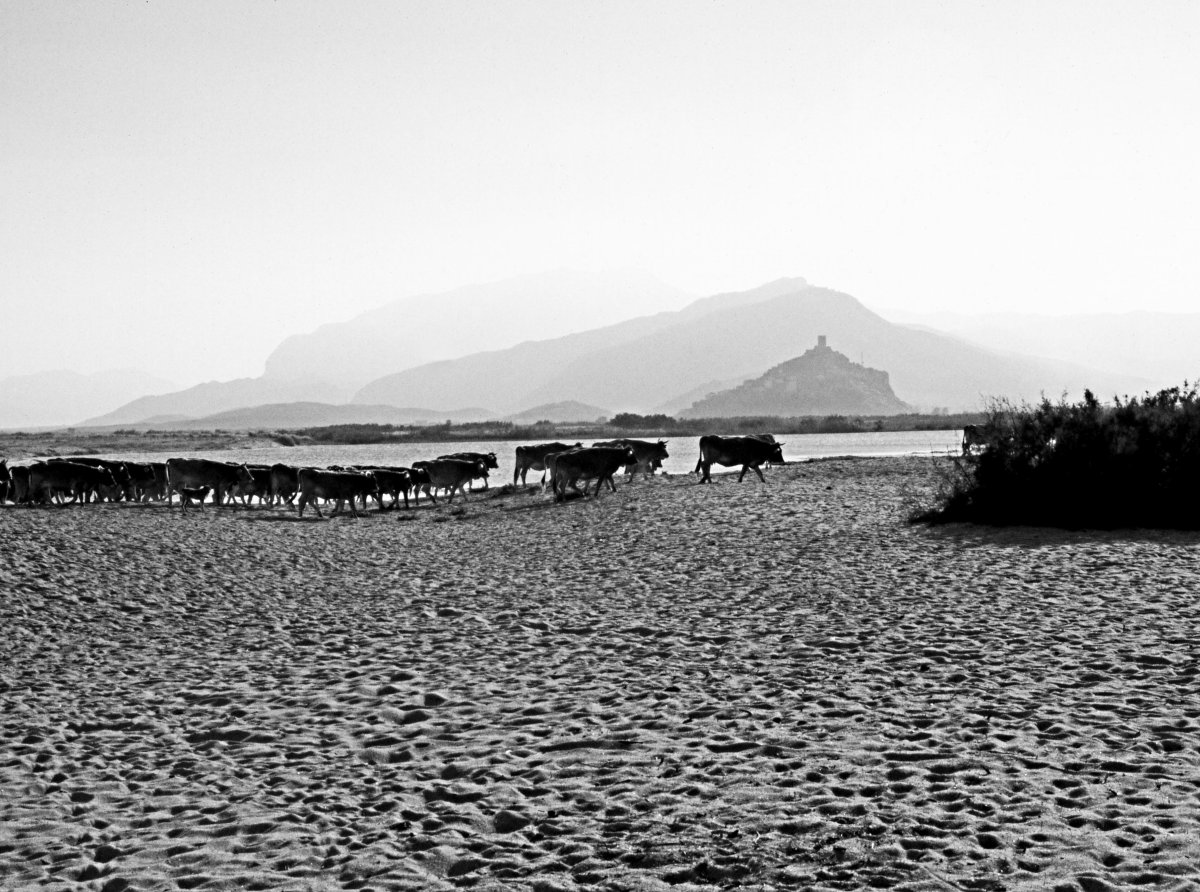 Amarcord Sardinia: un racconto corale della Sardegna Anni Settanta