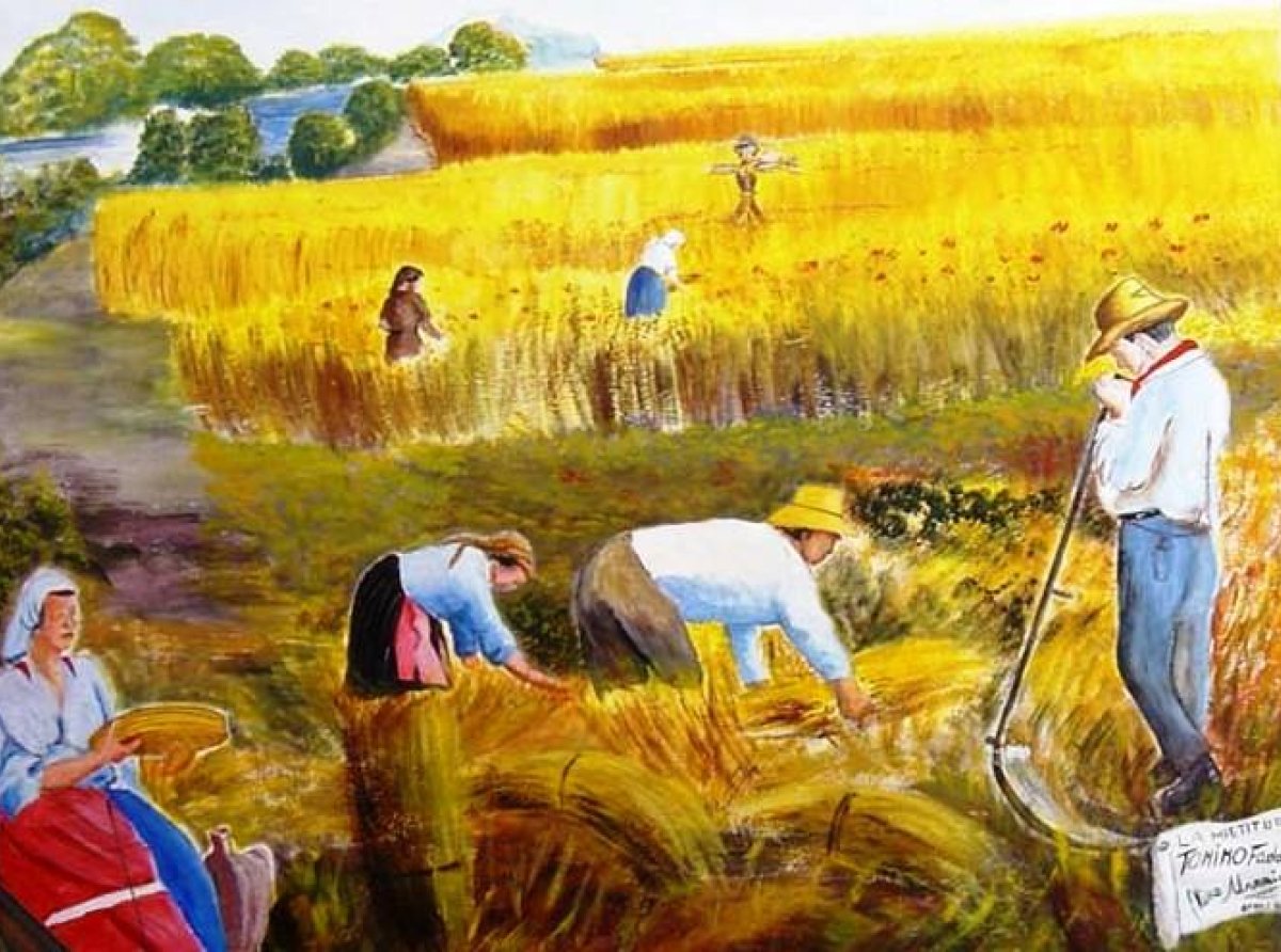 Mollo tutto... ritorno alla terra!