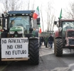 Perchè le proteste del Sud non fanno notizia?